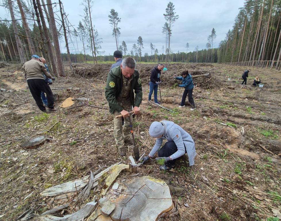 Гродненские адвокаты приняли участие в “Неделе леса”